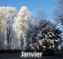 Souvent fin janvier ne remplit pas le panier