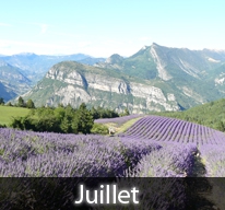 Petite pluie de juillet ensoleillé, emplit caves et grenier.