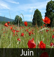 De juin le vent du soir, est pour le grain bon espoir.