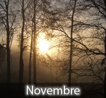 Novembre par tous les temps, le bois dans la cheminée est flambant.