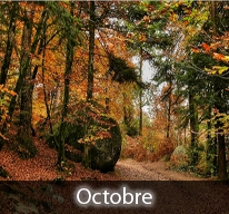 Octobre en bruine, hiver en ruine.